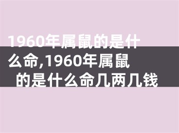 1960年属鼠的是什么命,1960年属鼠的是什么命几两几钱