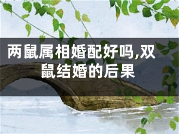 两鼠属相婚配好吗,双鼠结婚的后果