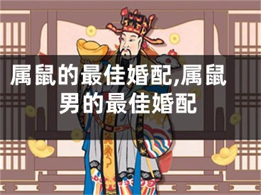 属鼠的最佳婚配,属鼠男的最佳婚配
