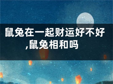 鼠兔在一起财运好不好,鼠兔相和吗