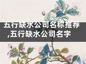 五行缺水公司名称推荐,五行缺水公司名字