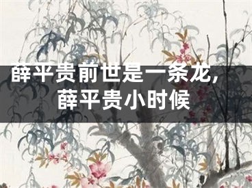 薛平贵前世是一条龙,薛平贵小时候