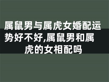 属鼠男与属虎女婚配运势好不好,属鼠男和属虎的女相配吗