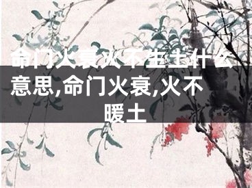 命门火衰火不生土什么意思,命门火衰,火不暖土