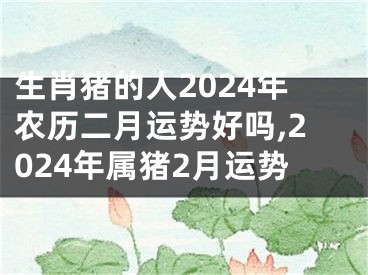 生肖猪的人2024年农历二月运势好吗,2024年属猪2月运势