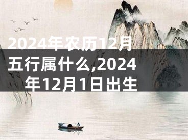 2024年农历12月五行属什么,2024年12月1日出生