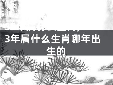 53年属什么生肖,53年属什么生肖哪年出生的