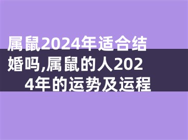 属鼠2024年适合结婚吗,属鼠的人2024年的运势及运程