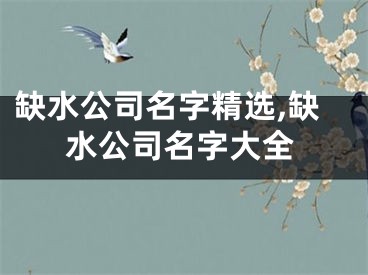 缺水公司名字精选,缺水公司名字大全
