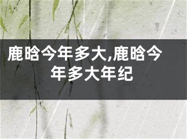 鹿晗今年多大,鹿晗今年多大年纪