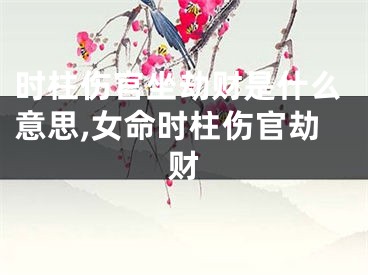 时柱伤官坐劫财是什么意思,女命时柱伤官劫财