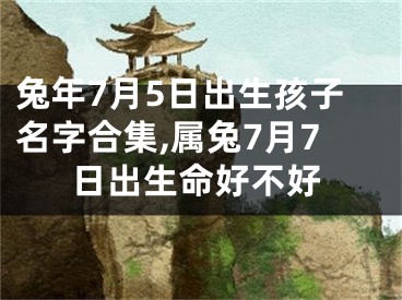 兔年7月5日出生孩子名字合集,属兔7月7日出生命好不好