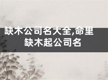 缺木公司名大全,命里缺木起公司名