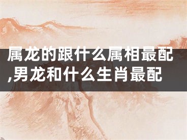 属龙的跟什么属相最配,男龙和什么生肖最配