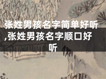 张姓男孩名字简单好听,张姓男孩名字顺口好听