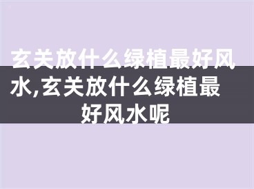 玄关放什么绿植最好风水,玄关放什么绿植最好风水呢