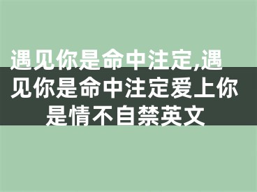 遇见你是命中注定,遇见你是命中注定爱上你是情不自禁英文