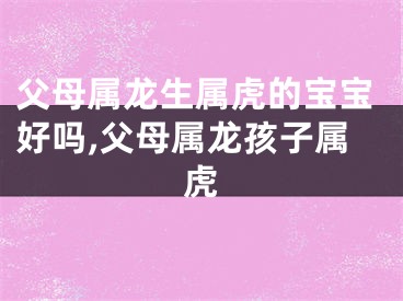 父母属龙生属虎的宝宝好吗,父母属龙孩子属虎