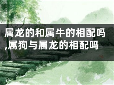 属龙的和属牛的相配吗,属狗与属龙的相配吗