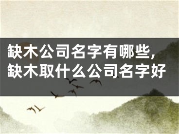 缺木公司名字有哪些,缺木取什么公司名字好