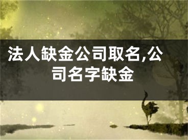 法人缺金公司取名,公司名字缺金