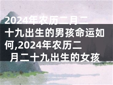 2024年农历二月二十九出生的男孩命运如何,2024年农历二月二十九出生的女孩