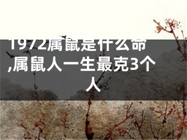 1972属鼠是什么命,属鼠人一生最克3个人