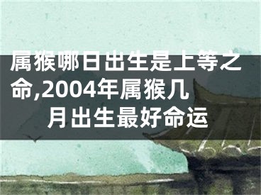 属猴哪日出生是上等之命,2004年属猴几月出生最好命运