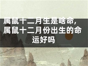 属鼠十二月生是啥命,属鼠十二月份出生的命运好吗