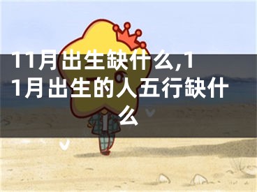 11月出生缺什么,11月出生的人五行缺什么