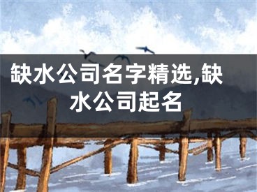 缺水公司名字精选,缺水公司起名