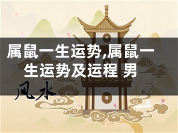 属鼠一生运势,属鼠一生运势及运程 男