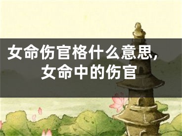 女命伤官格什么意思,女命中的伤官