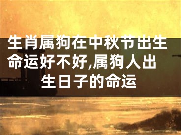 生肖属狗在中秋节出生命运好不好,属狗人出生日子的命运