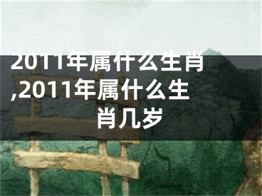 2011年属什么生肖,2011年属什么生肖几岁