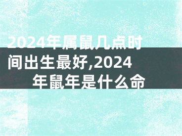 2024年属鼠几点时间出生最好,2024年鼠年是什么命