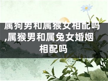 属狗男和属猴女相配吗,属猴男和属兔女婚姻相配吗