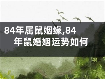 84年属鼠姻缘,84年鼠婚姻运势如何