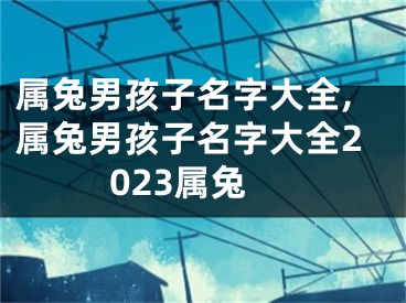 属兔男孩子名字大全,属兔男孩子名字大全2023属兔