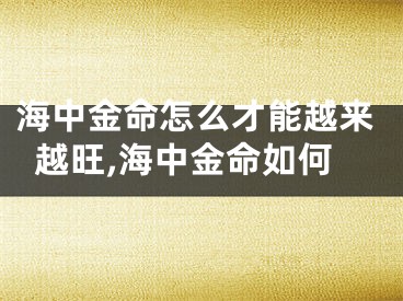 海中金命怎么才能越来越旺,海中金命如何