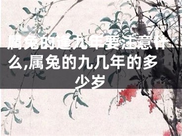 属兔的逢九年要注意什么,属兔的九几年的多少岁