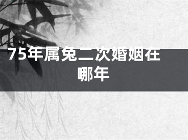 75年属兔二次婚姻在哪年