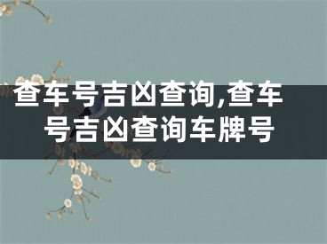 查车号吉凶查询,查车号吉凶查询车牌号