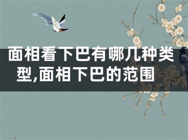 面相看下巴有哪几种类型,面相下巴的范围