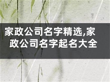 家政公司名字精选,家政公司名字起名大全