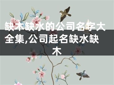 缺木缺水的公司名字大全集,公司起名缺水缺木