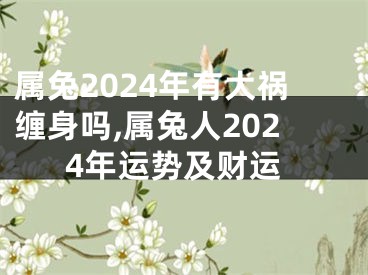 属兔2024年有大祸缠身吗,属兔人2024年运势及财运