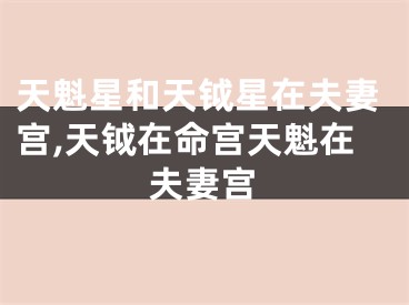 天魁星和天钺星在夫妻宫,天钺在命宫天魁在夫妻宫