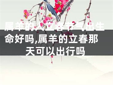 属羊的人立春节气出生命好吗,属羊的立春那天可以出行吗