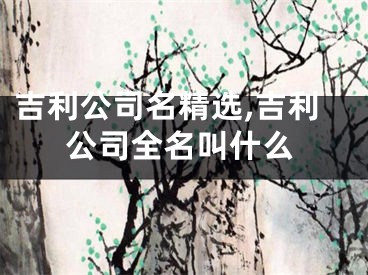 吉利公司名精选,吉利公司全名叫什么